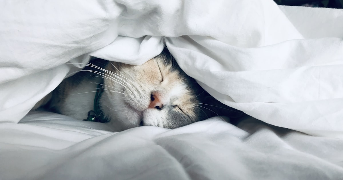 Natural sleep aids and herbal remedies